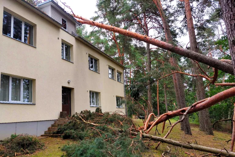 Elva muusikakooli katusele langes puu.