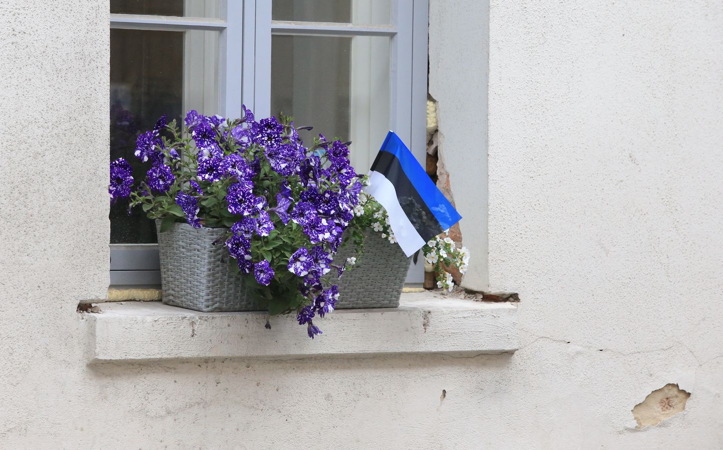 Флаг Эстонии.