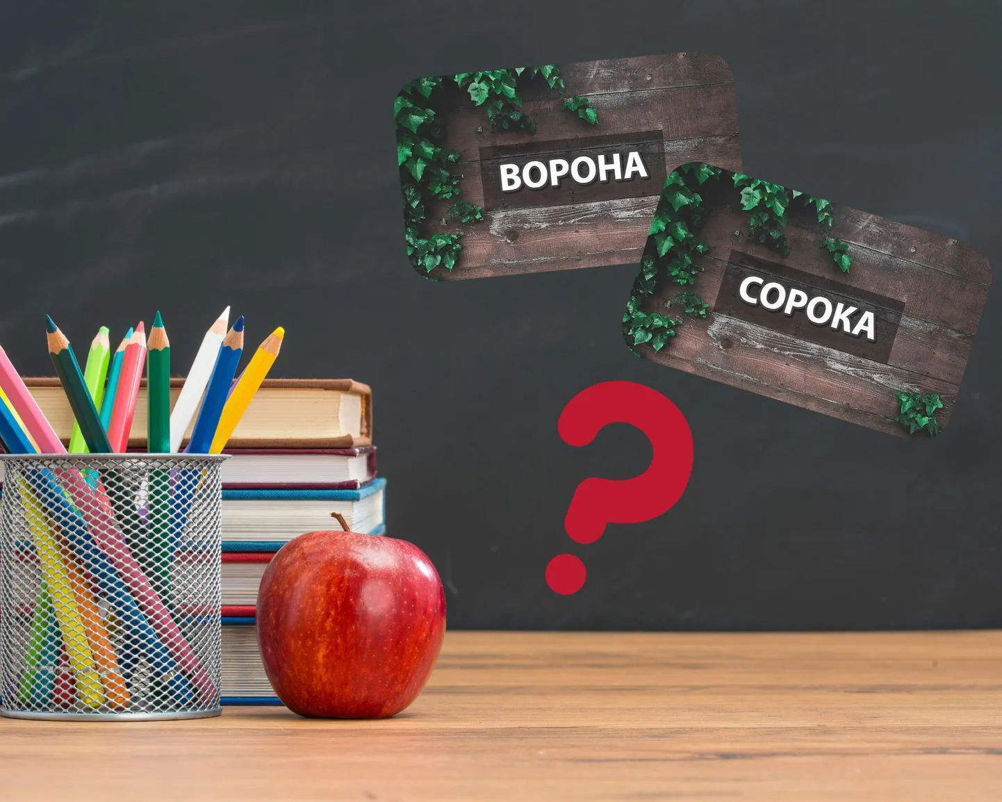 Иллюстративное фото