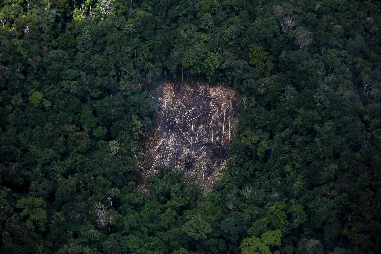 Vaade Brasiilia vihmametsale, 2. veebruaril 2023