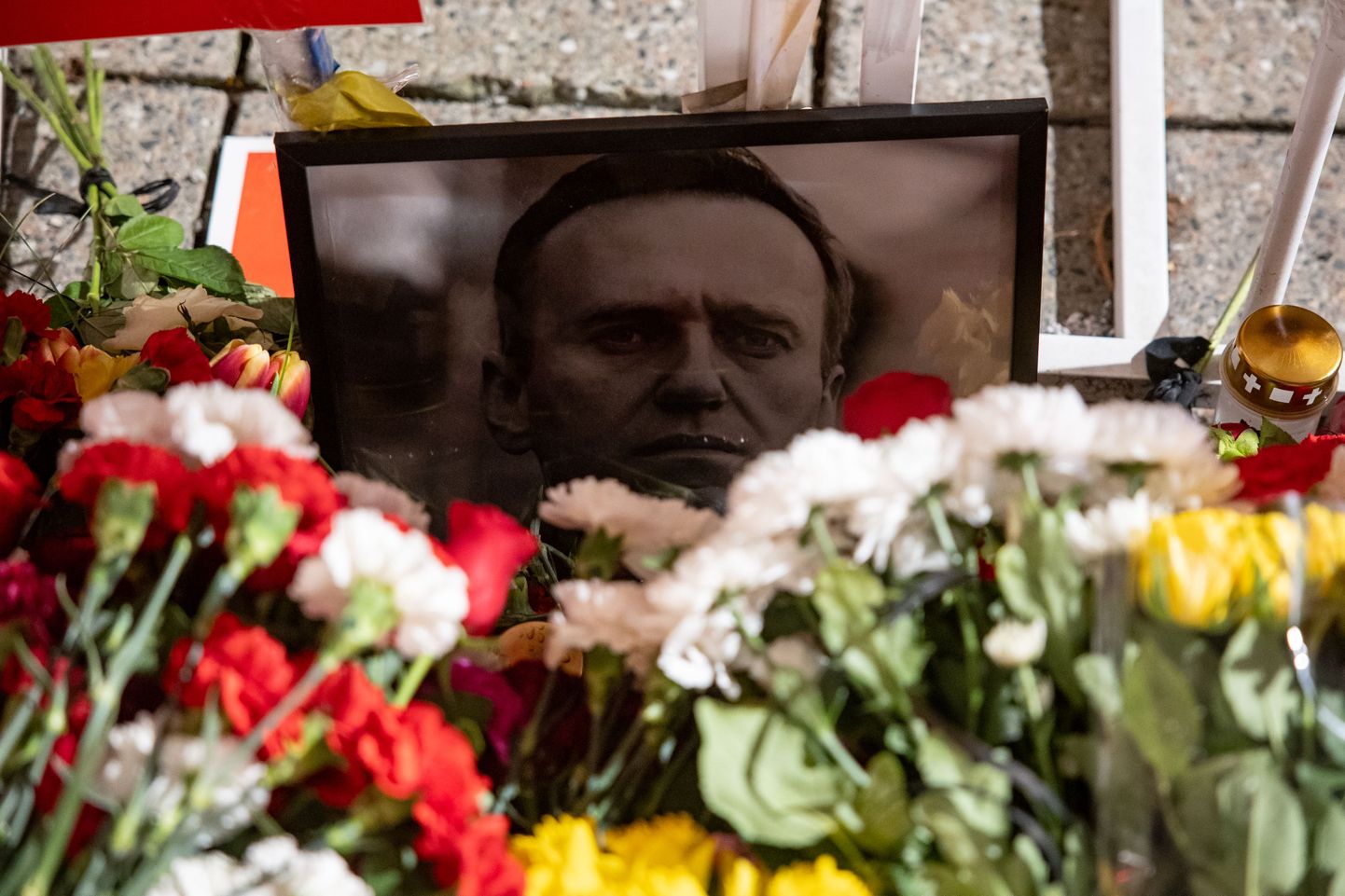 Цветы и свечи в память Алексея Навального в Таллинне.