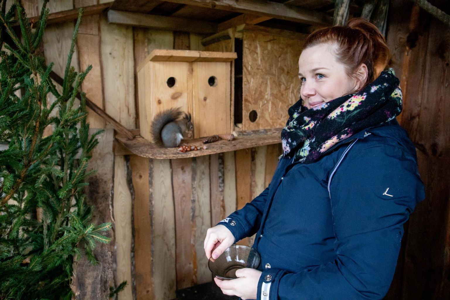 Eesti metsloomaühingu Pärnumaa piirkonna juhi Kaisa Vaigu hoole all on praegu kuus siili ja toonekurg.