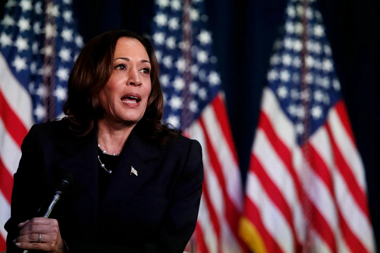 Asepresident Kamala Harris kampaaniaüritusel Michigani osariigis Kalamazoos.