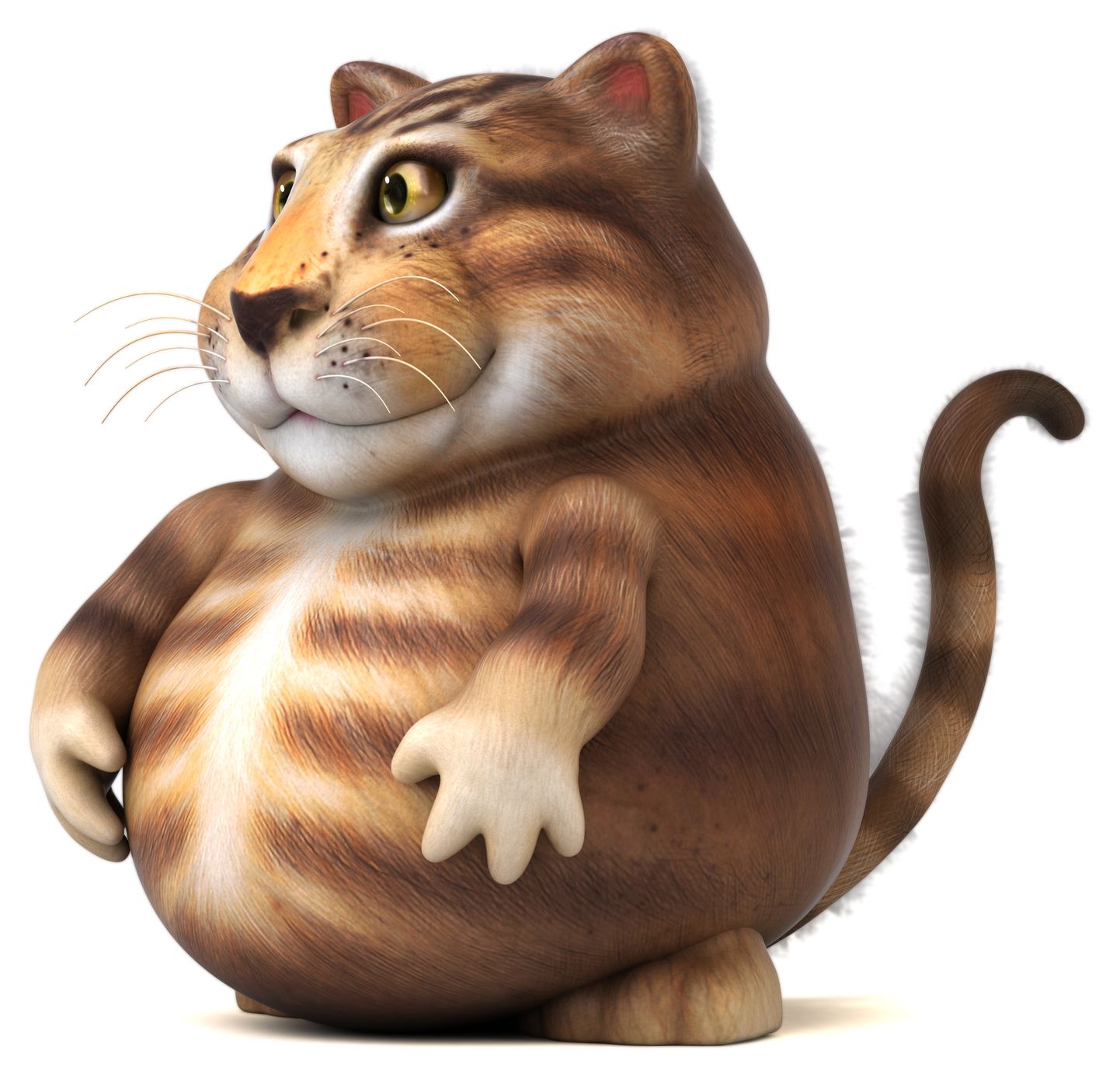Толстый кот. Иллюстративная картинка