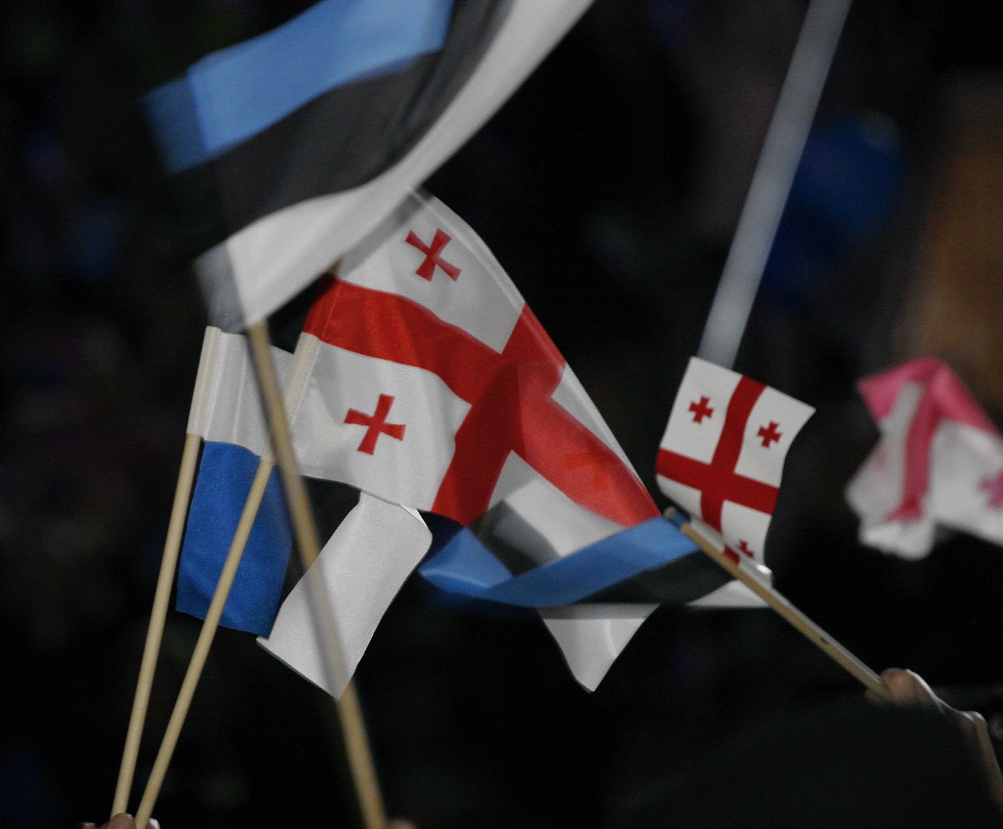 Eesti ja Gruusia lipud.