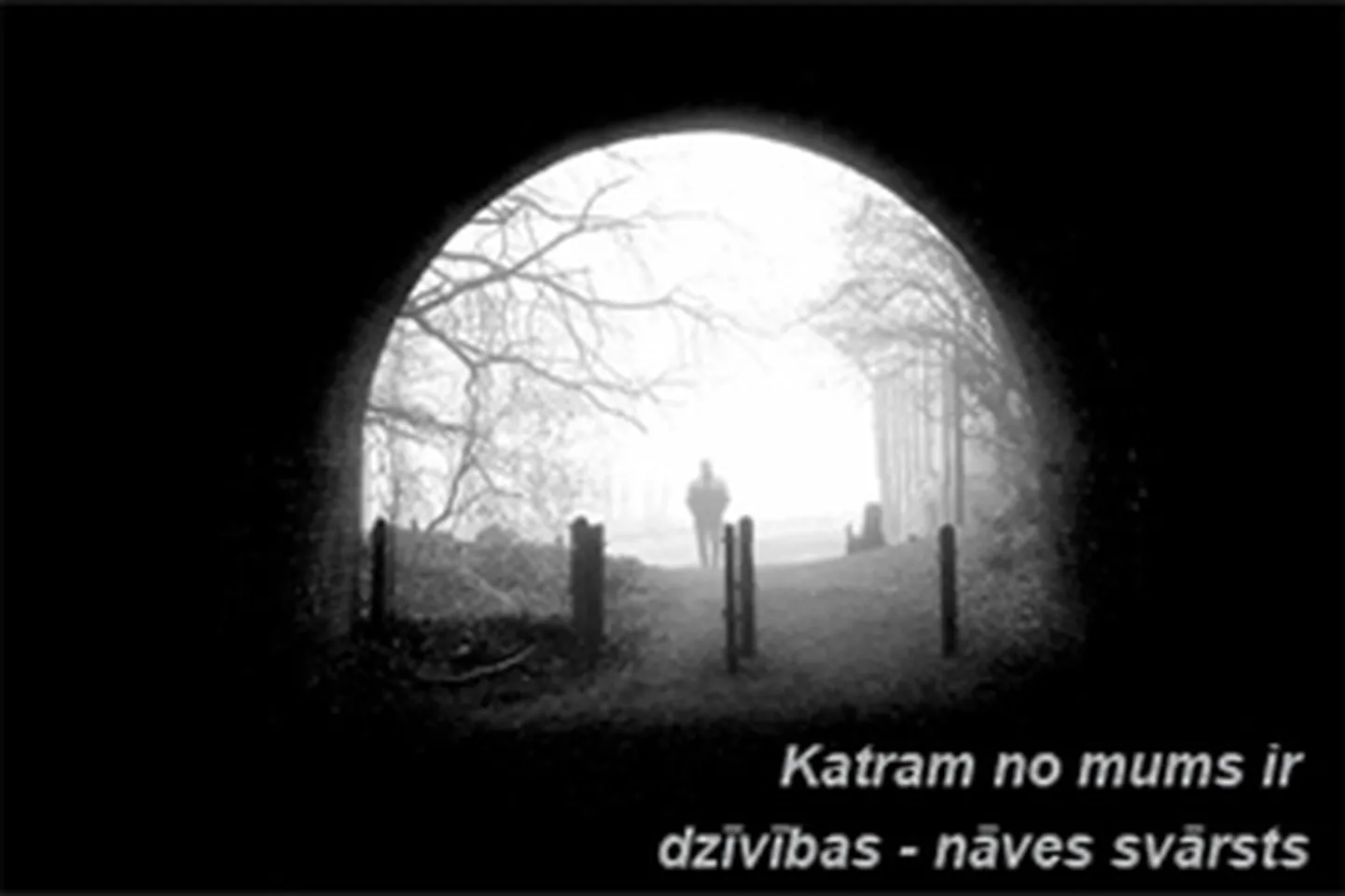 Фото статьи