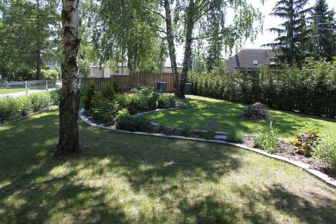 Что делать если деревья загораживают свет в квартире