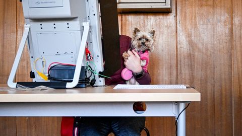 Bulgārijas parlamenta vēlēšanās uzvarējusi eksprezidenta Radeva alianse, liecina aptaujas