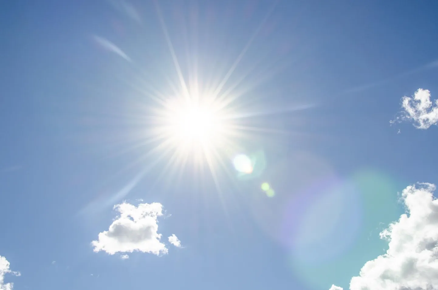 Prognooside kohaselt on temperatuurinäit sel nädalal nii päeval kui ööl plussis ja nädala lõpupoole on oodata 20 kraadist õhutemperatuuri.