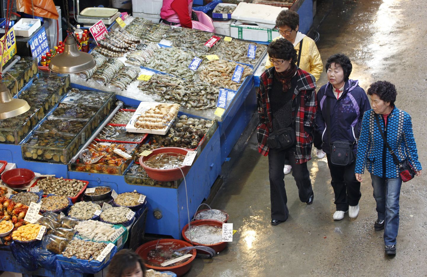 Korealannad Souli turul. Foto pole kõnealuse juhtumiga seotud.