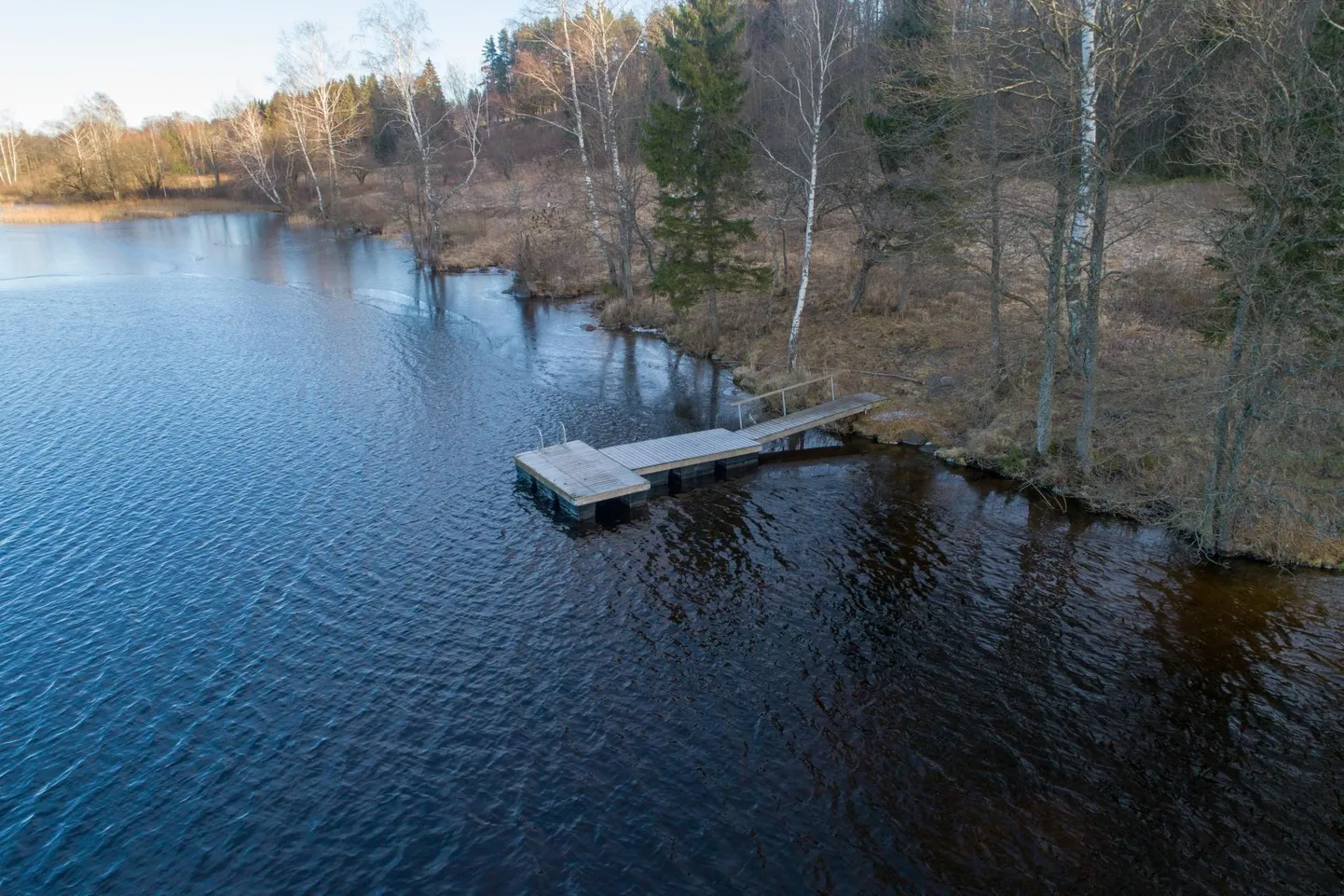 Фото статьи