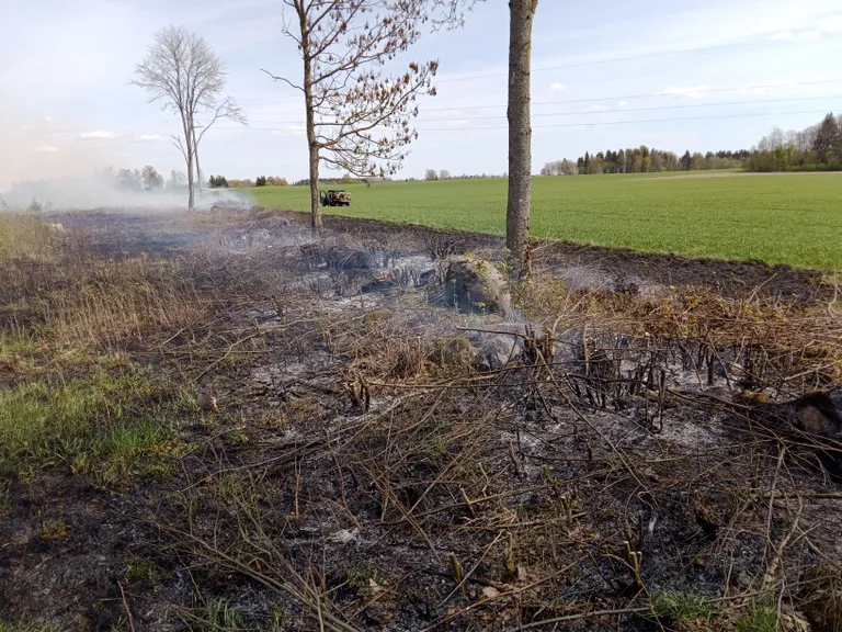 Pauastveres algas lõkkest pea poole hektari suurune kulupõleng.