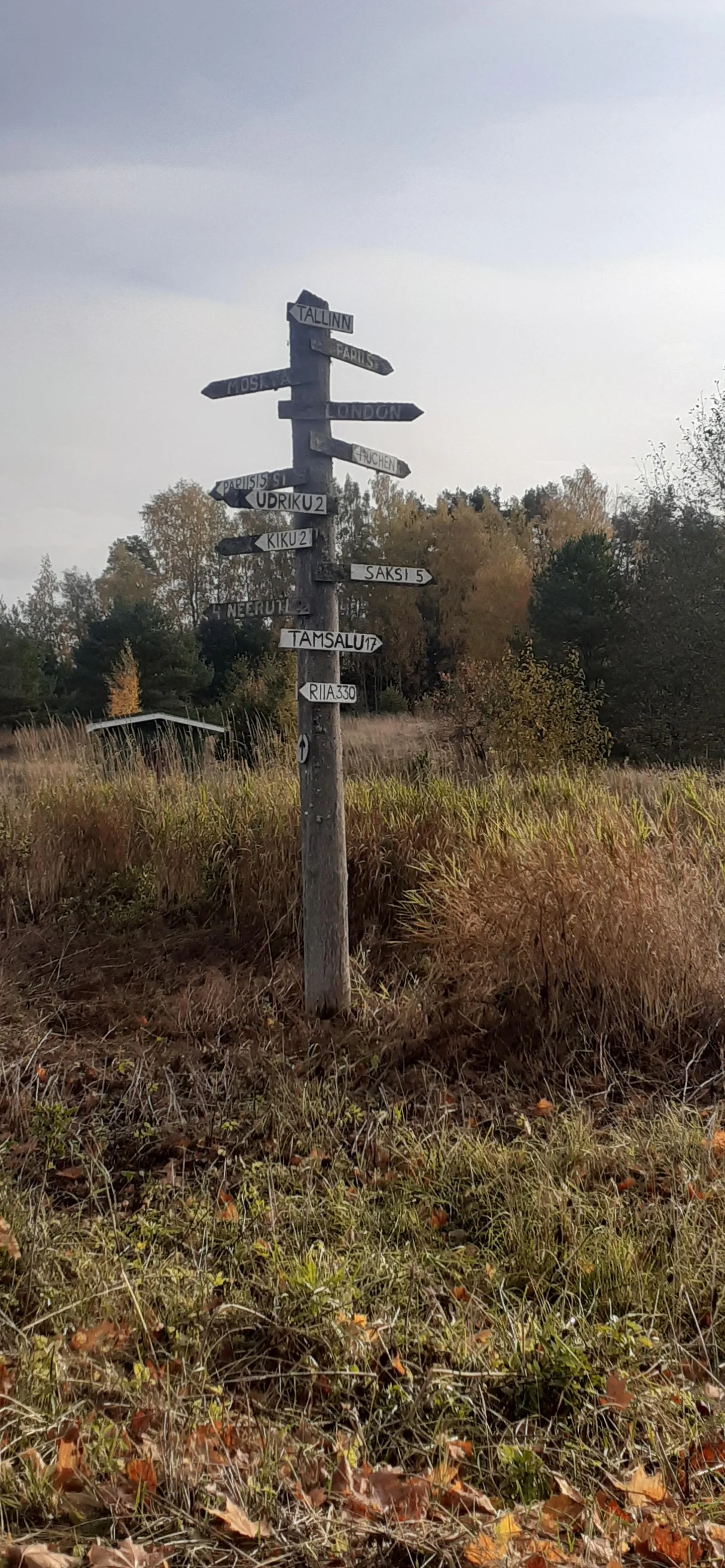 Teeviidad juhatavad Salda külast igale poole.