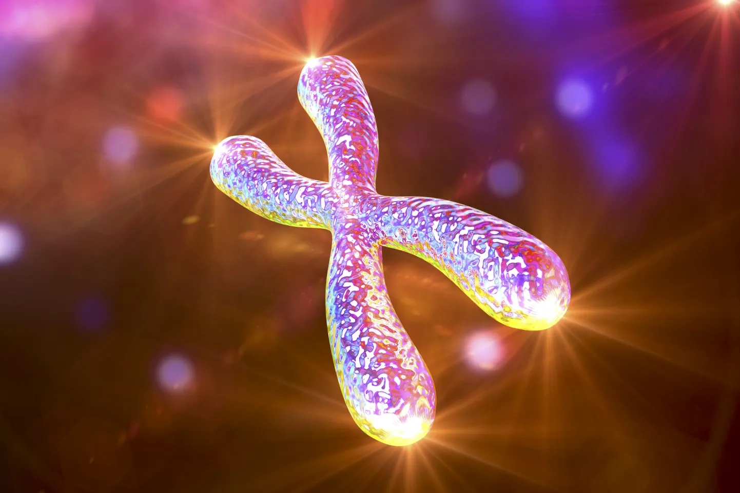 Telomeeride pikkust mõõtes saab hinnata inimese bioloogilist vanust ehk seda, millises faasis tema rakud on.