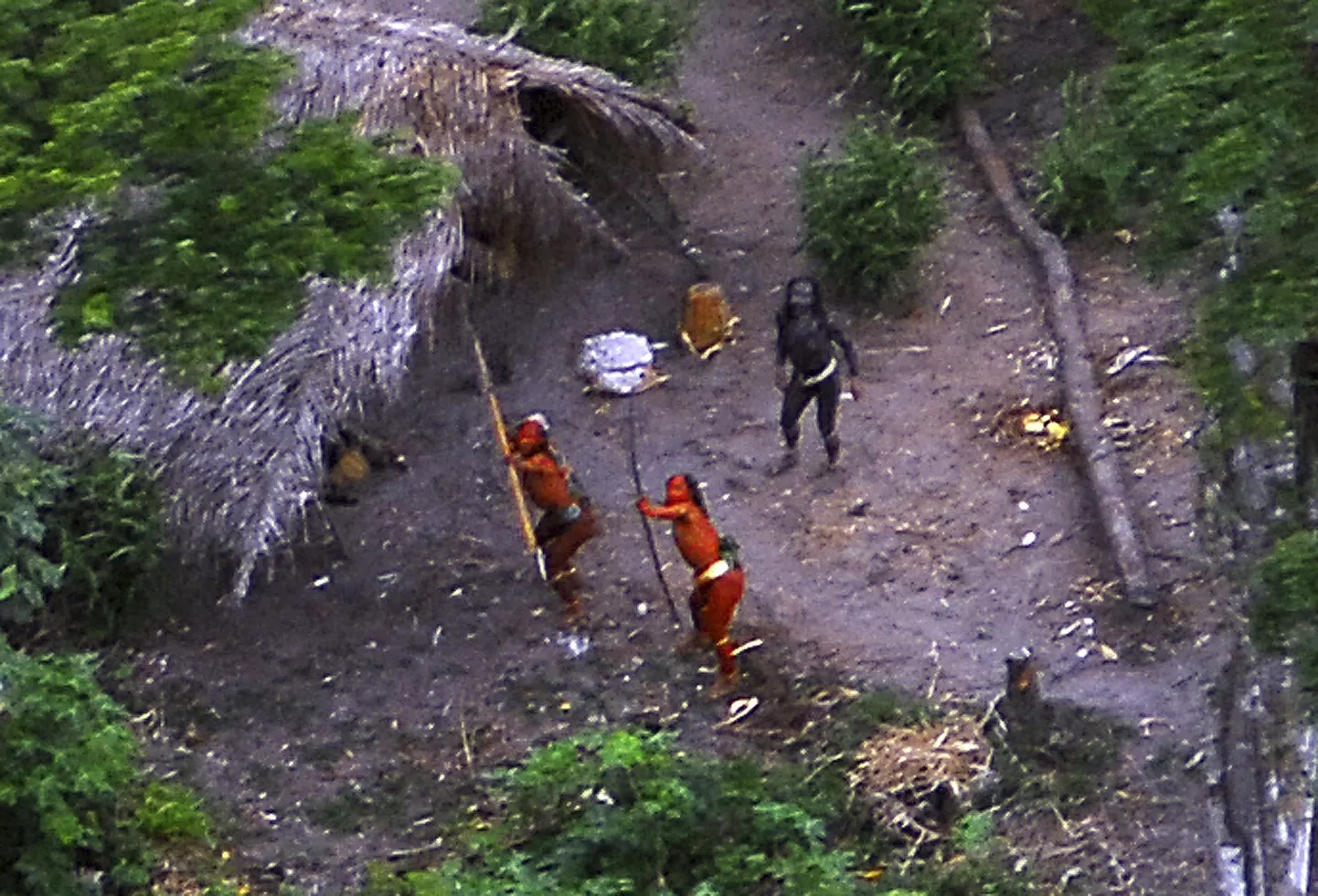 Amazonases elav hõim on kahanenud viie inimeseni