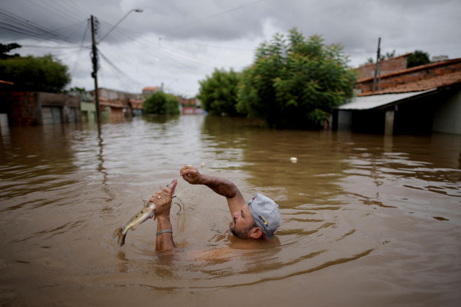 Brasiilia põhja- ja kirdeosas on juba mõnda aega sadanud paduvihma ja on üleujutus. Pildil Maranhão osariigis Imperatrizis püüdmas mees tänaval kala