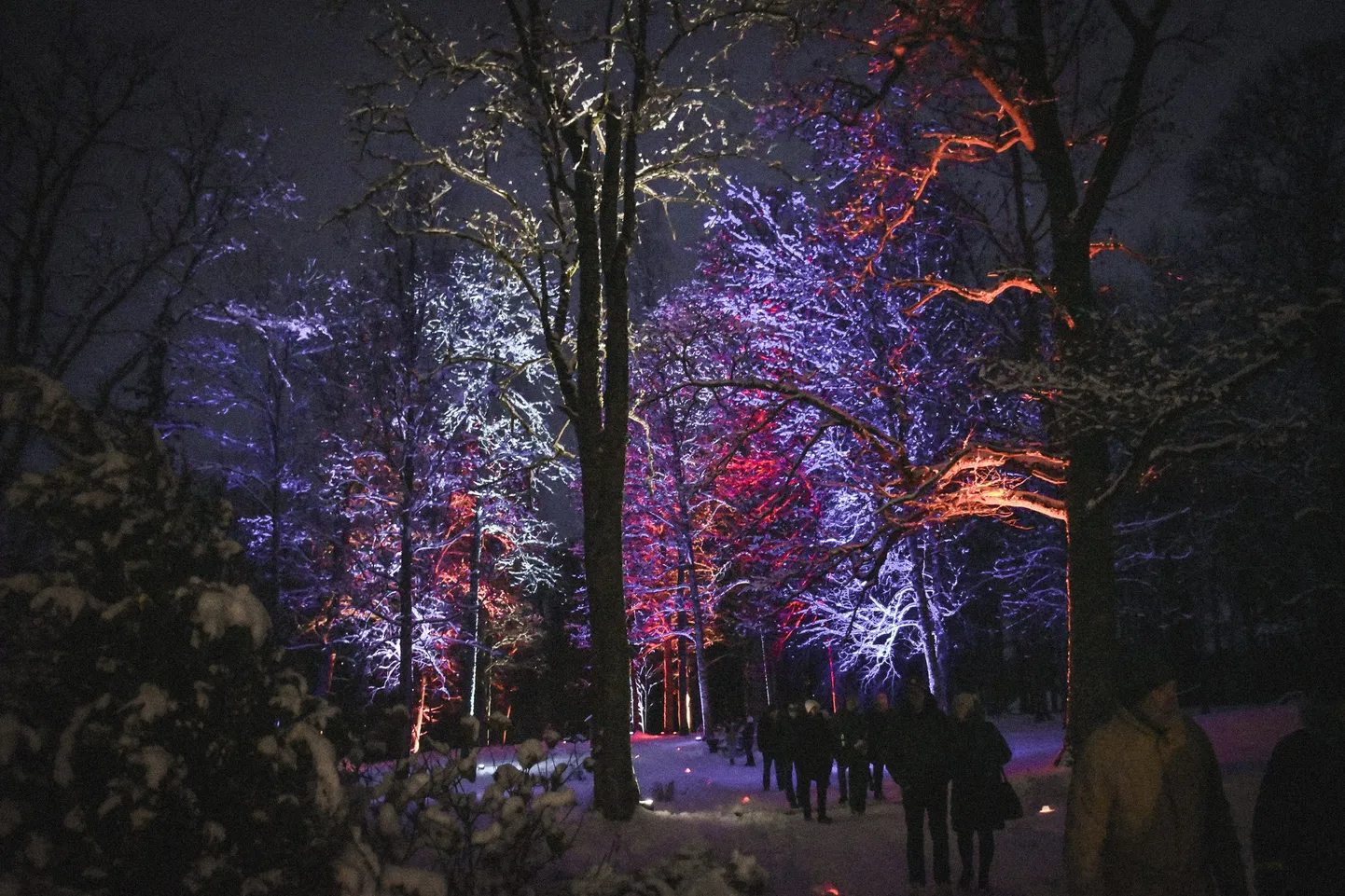 Вечерняя прогулка при свечах в Рауне