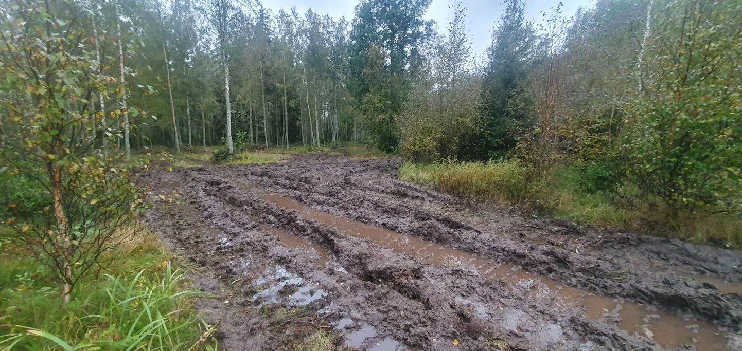 Lahemaa rahvuspargi kaitseeeskirja rikkumine tõi Viru Mets OÜ-le siiski kaela väärteomenetluse.