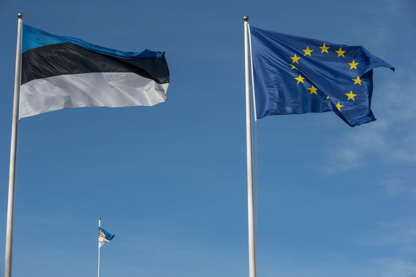 Euroopa Liit, Eesti Vabariik. Lipp, lipud. 12MAR14 Foto: Erik Prozes / Postimees