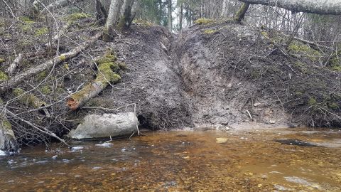 Motomehed lõhuvad Loodi loodusparki