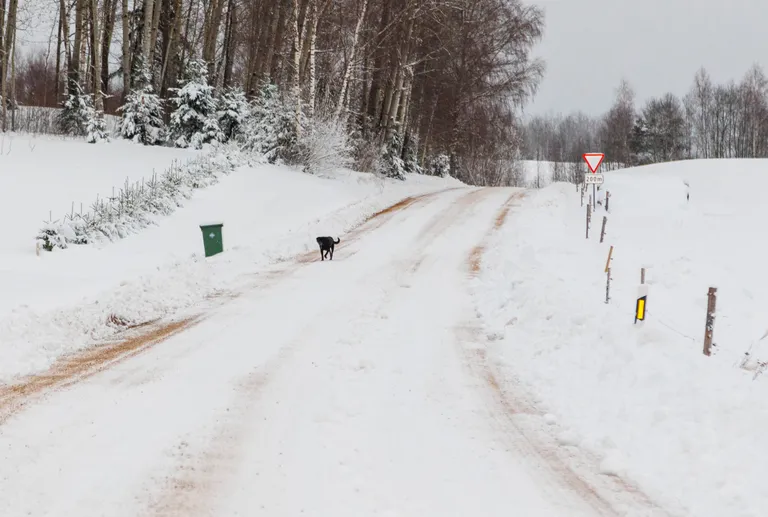 Valgamaal Karula kandis on avalikud teed õhtuse seisuga valla.