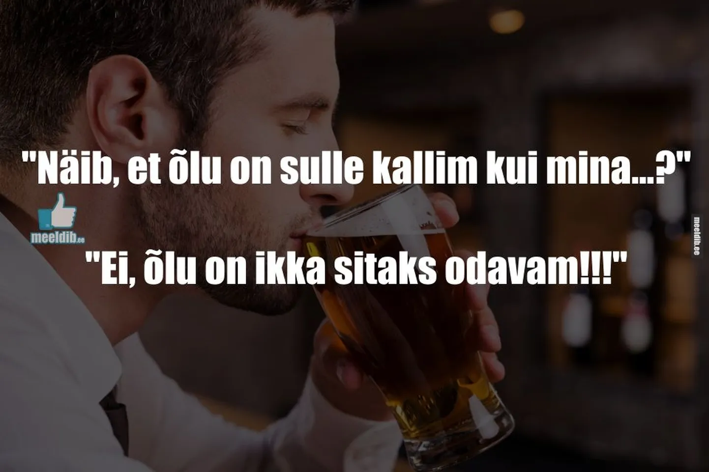 Artikli foto