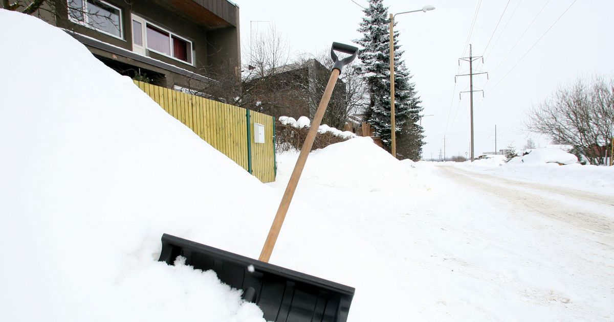 Mees võttis elukaaslase peksmiseks kasutusele lumelabida
