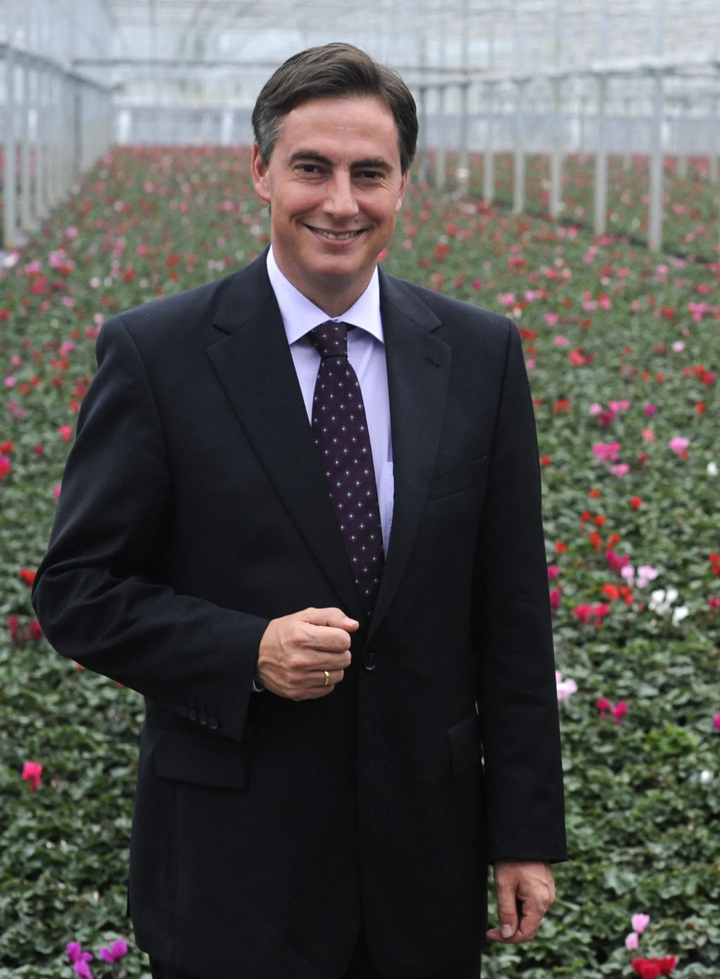 David McAllister