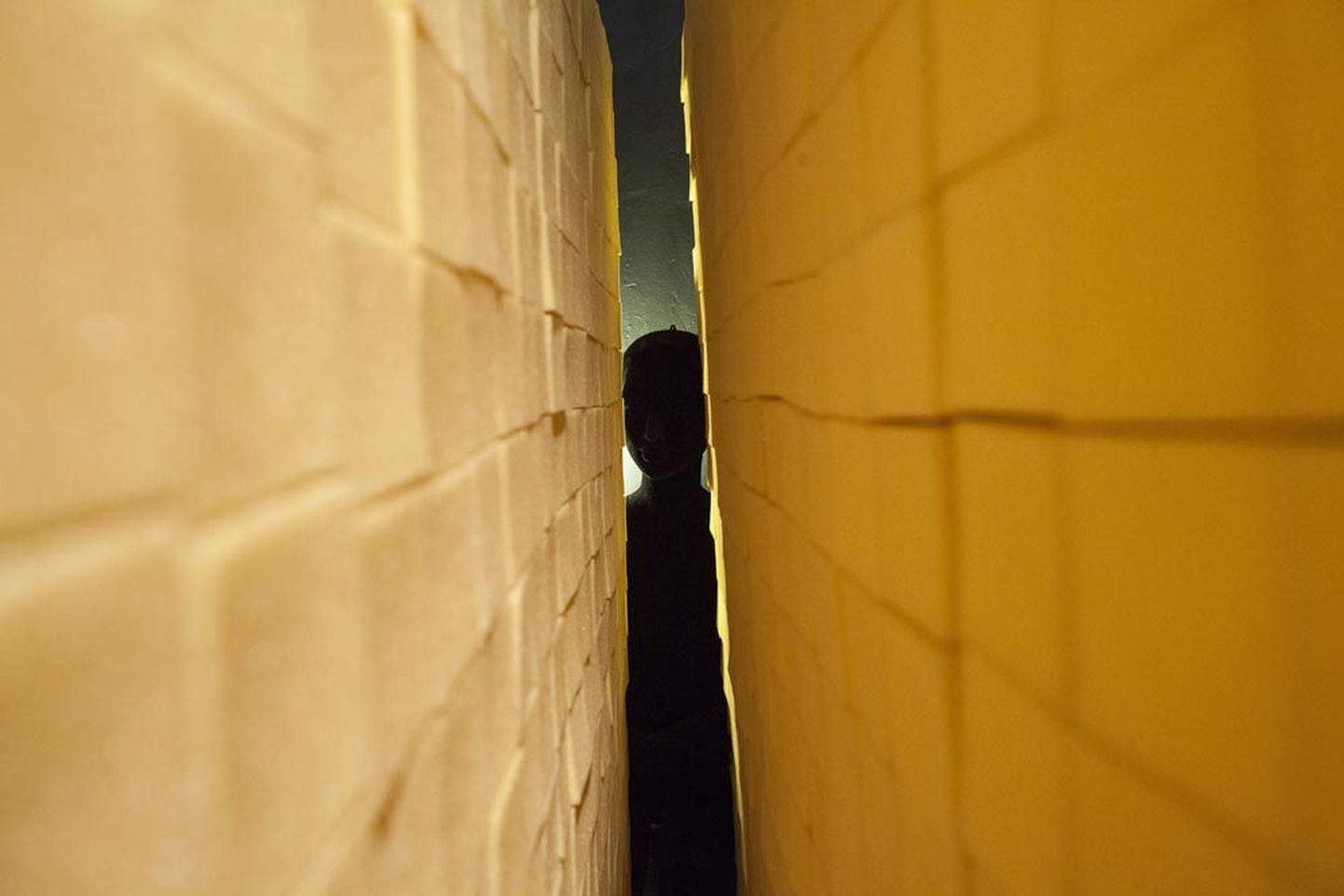 Kadi Estlandi «Kurbuse koridor» on osa installatsioonist «Alasti ja hirmul» (2014).
