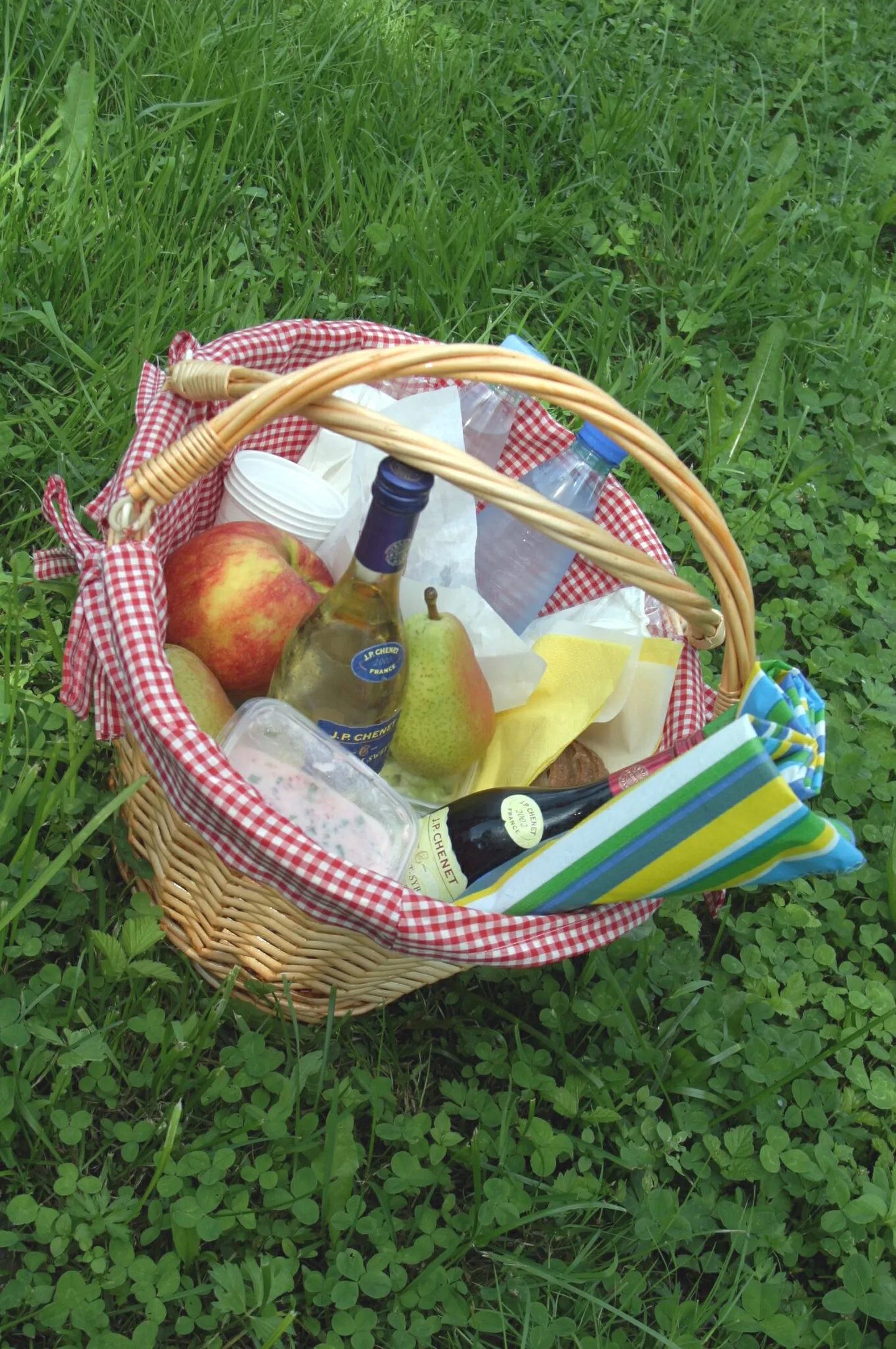 PRN01:PIKNIKUKORV : P
