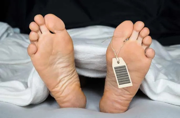 Rus yulduzlari ishtirokidagi erotik porno