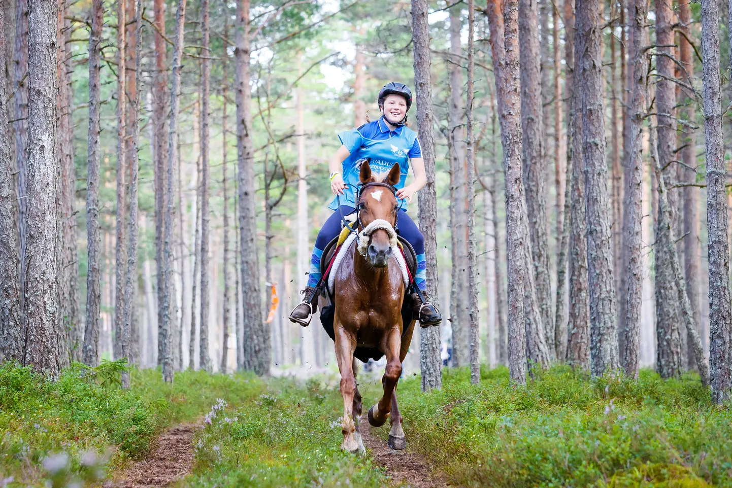 Eliise Laur - FILLY-BELLA @ Padise Endurance Festival II 2017 
© Author: Kylli Tedre-Gavrilov / www.kyllitedre.com