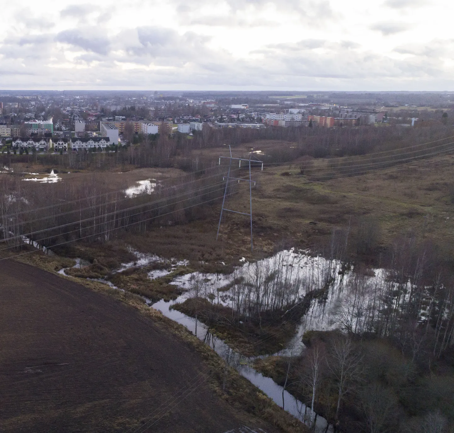 Jämejala ja Viljandi vahel soisel ja kobraste kasutuses oleval alal õhuliinile langenud puu jättis sajad majapidamised pikaks ajaks elektrita. Jämejala psühhiaatriakliinikut hoidsid valgena generaatorid.