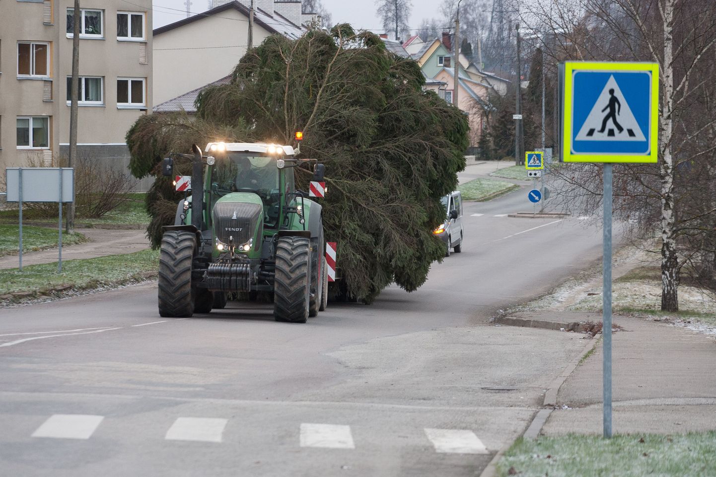 Jõulupuu linna toomise ajaks seisati ringristmikul liiklus ning eemaldati ajutiselt ülekäiguraja märke, et need kaharat puud ei rikuks.