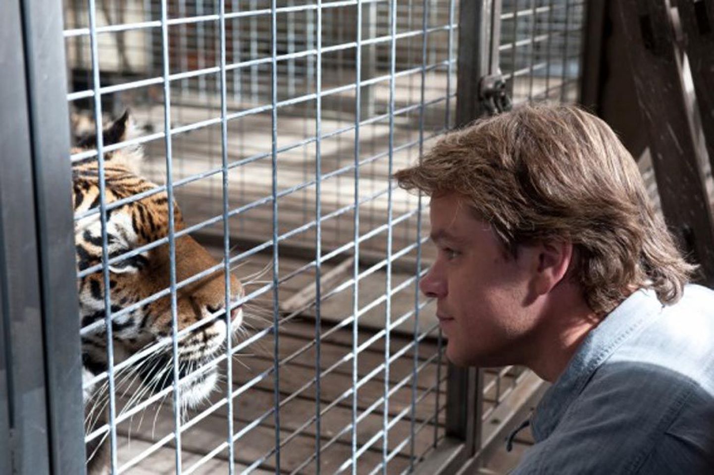 "Me ostsime loomaaia" on emotsionaalne, optimistlik ja elujaatav film, mis põhineb tõestisündinud lool.
