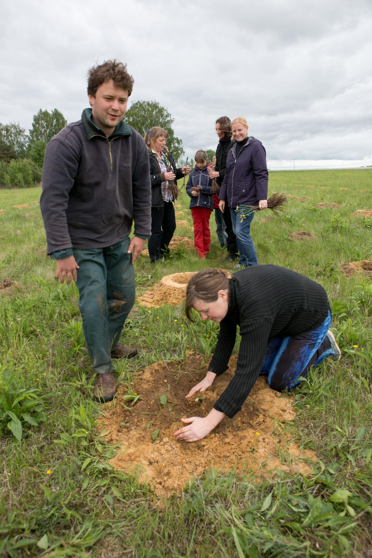 Neli aastat tagasi olid Mikk Lõõbas (seisab vasakul) ja Kairi Kärner (põlvili paremal) Eesti suurimat viinamarjaistandust rajades õhevil ja lootusrikkad. Esimene vasikas läks siiski aia taha, sest taimed jäid virelema või hävisid sootuks.