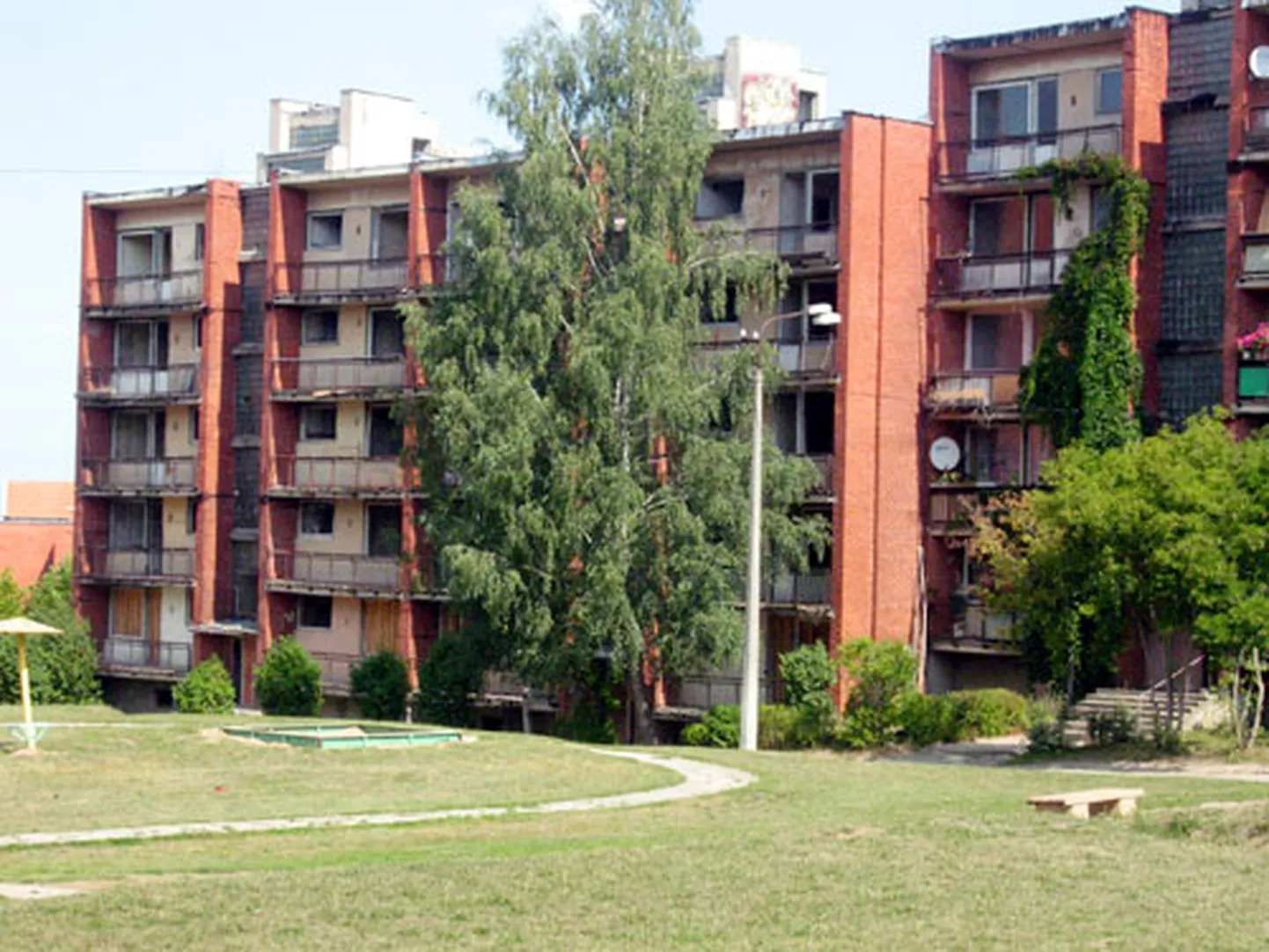Raksta foto