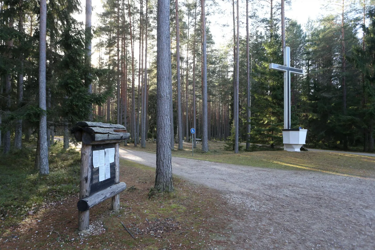 Tuigo kalmistu on 33 hektari suurune. See on sama suur kui Raadi ja Pauluse kalmistu kokku.