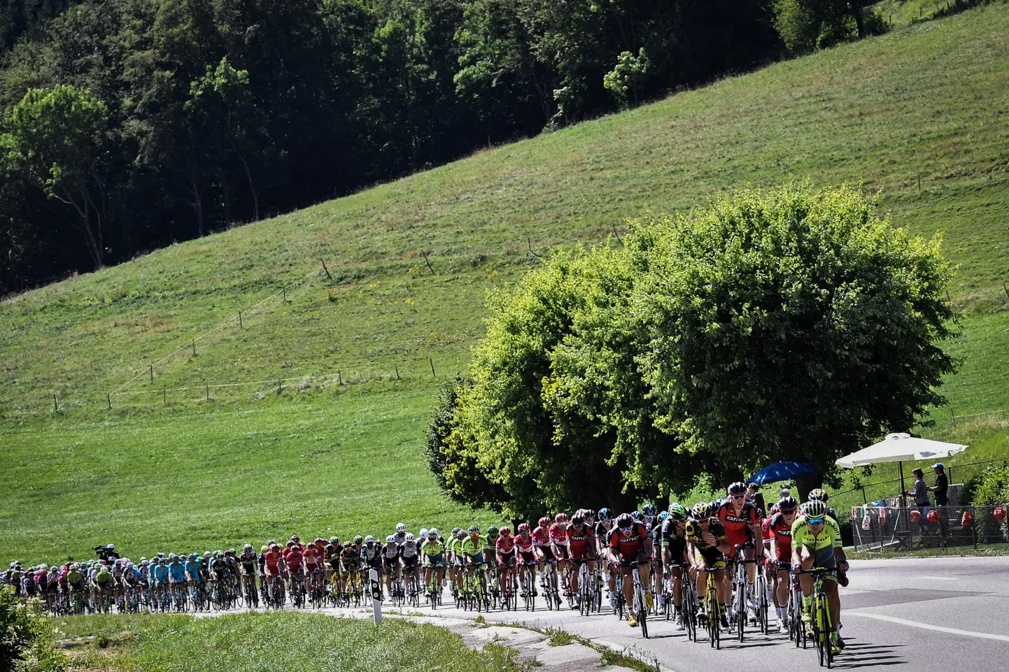 Jalgratturid 2016. aasta Tour de France'il.