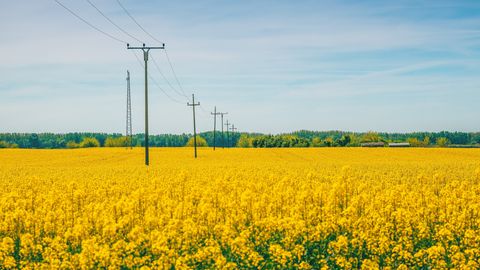 Rēzeknē atjaunota no rīta pārtrauktā elektroapgāde