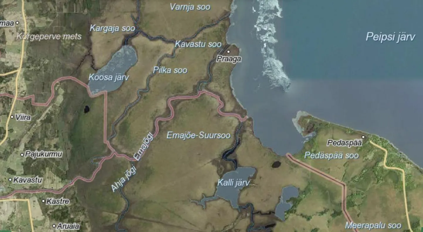 Emajõe Suursoo Natura 2000 ala, kuhu keskkonnaamet andis hulgaliselt raielube ilma Natura mõju eelhinnanguta.