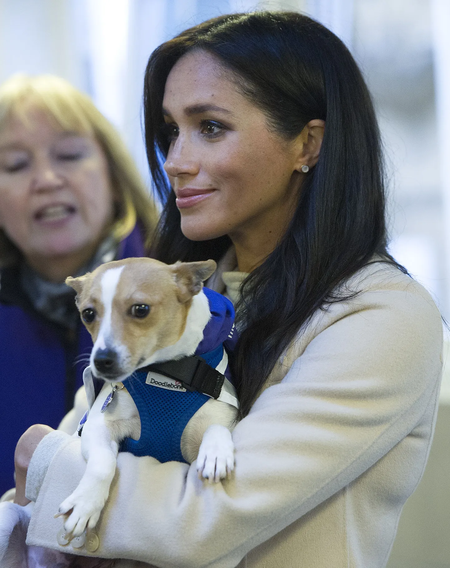 Meghan Markle 2019. aastal koerte varjupaigas