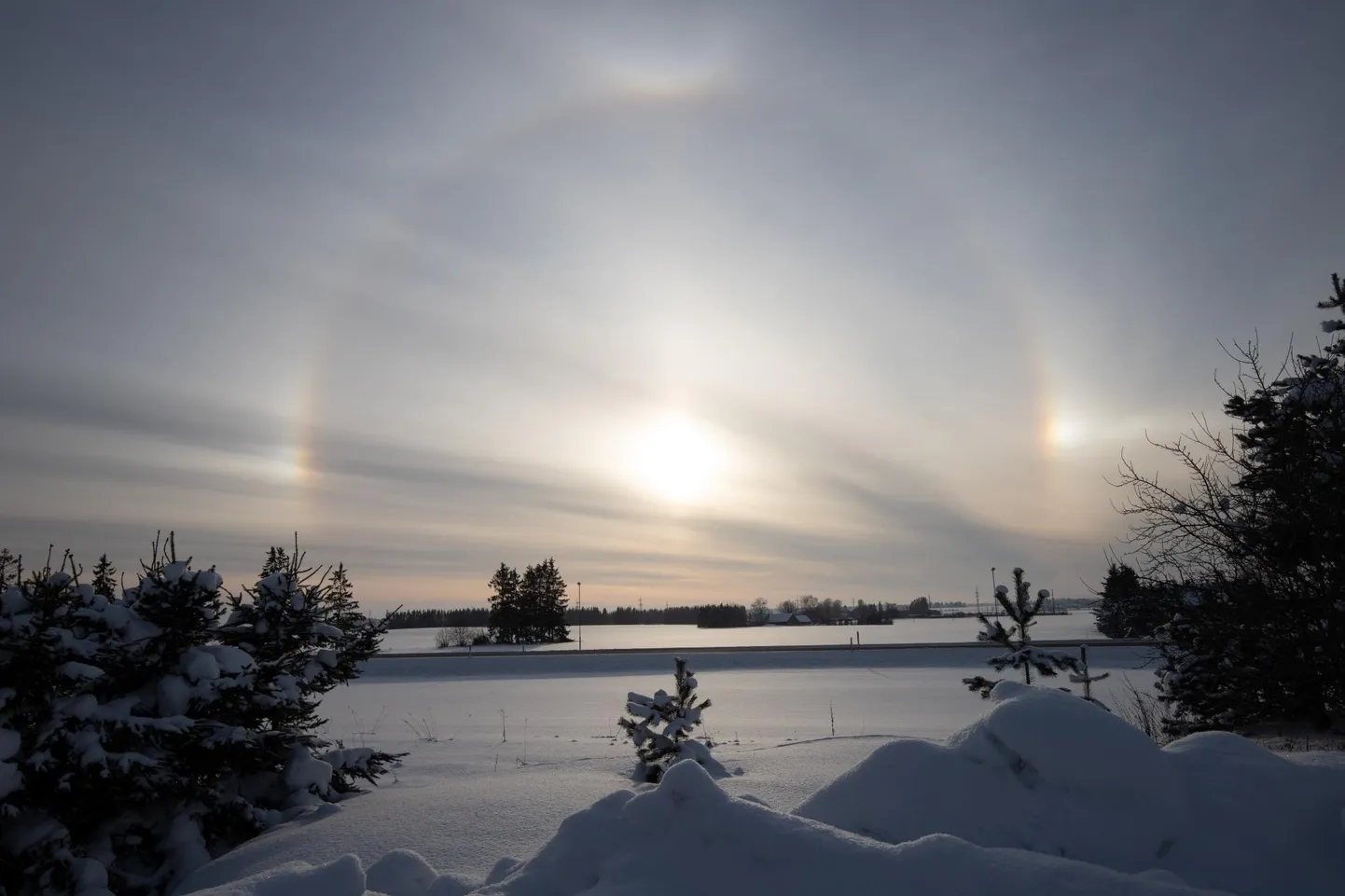 Multihalo näitas end Rakvere kohal teisipäeval.
