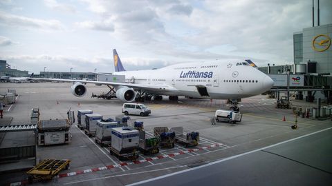 Baggage handler dies of malaria after mosquito bite at Frankfurt Airport