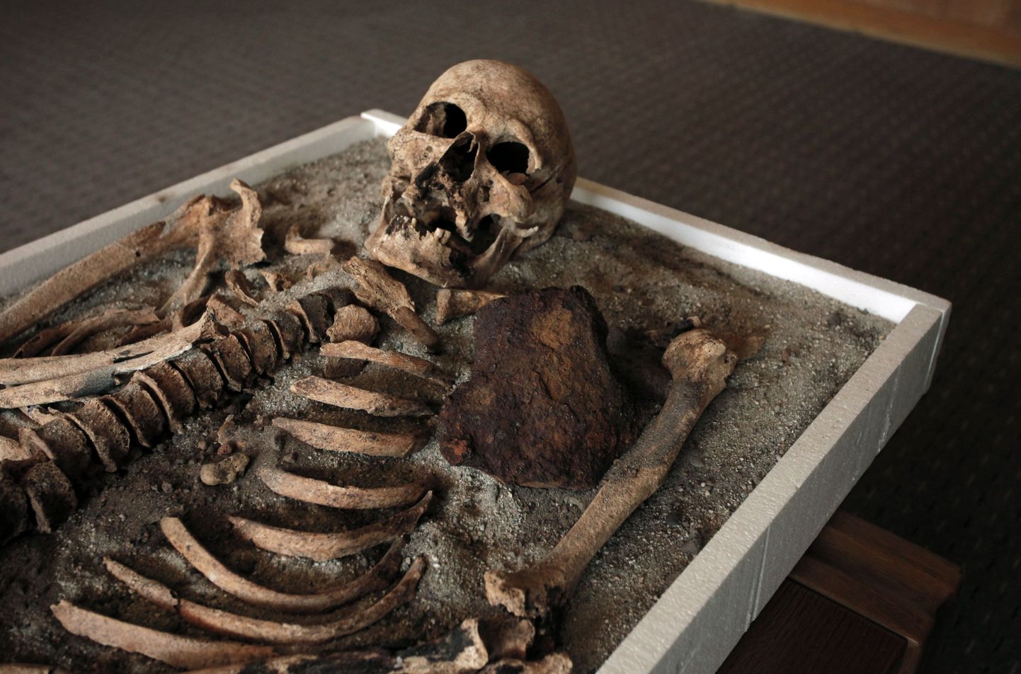 Möödunud aastal Bulgaariast leitud luustiku puhul kahtlustati samuti, et omal ajal peeti seda isikut vampiiriks, sest tema rinda läbistas raudobjekt, mida võib pildil näha skeleti kõrval.
