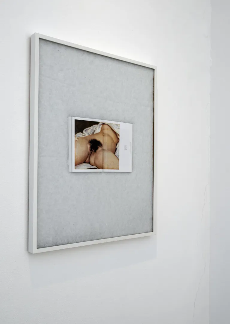 Foto Gustave ­Courbet’ skandaalse maali «Maailma päritolu» reproduktsioonist.