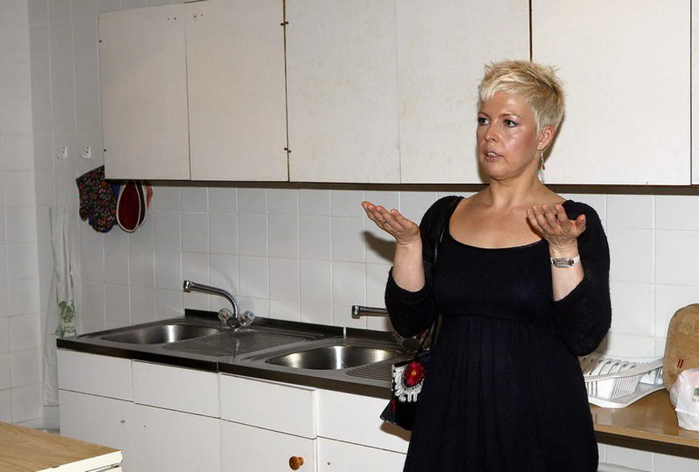Evelin Ilves
