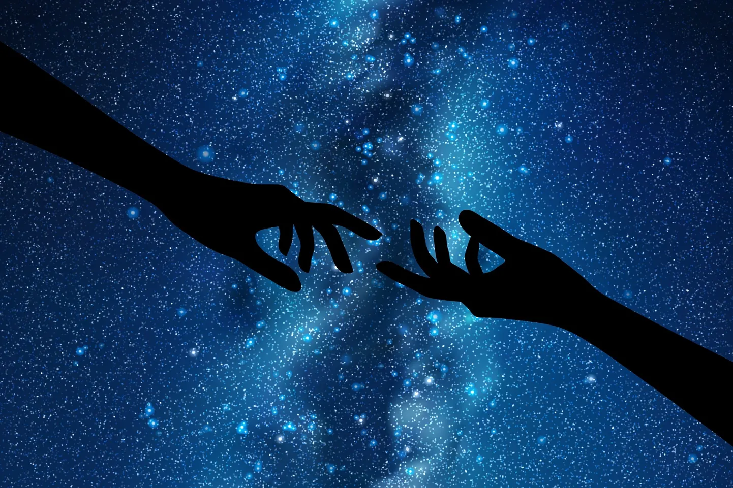 Artikli foto