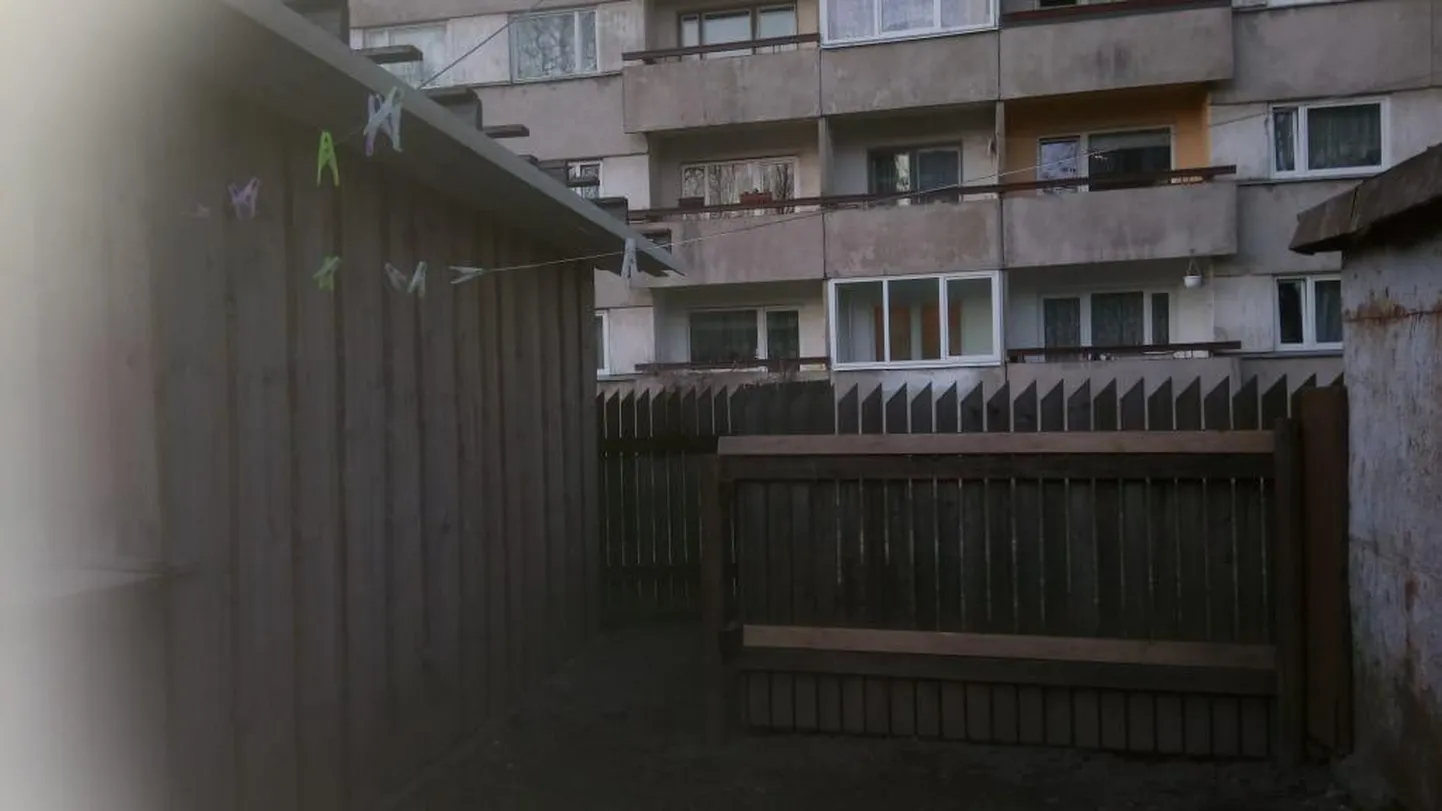 Aed, kuhu koerale väidetavalt rotimürki visati.