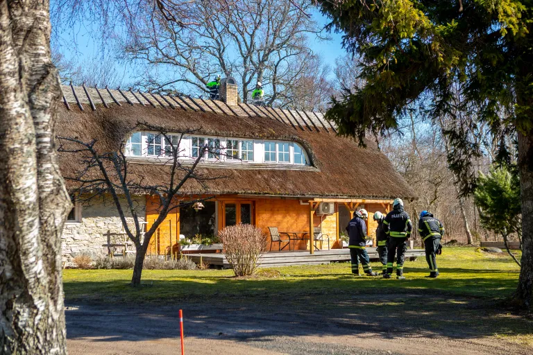Artikli foto